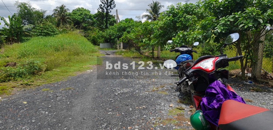 Bán đất đường ba điểm Tân nhật diện tích 900 mét vuông giá 7,5 tỷ thương lượng