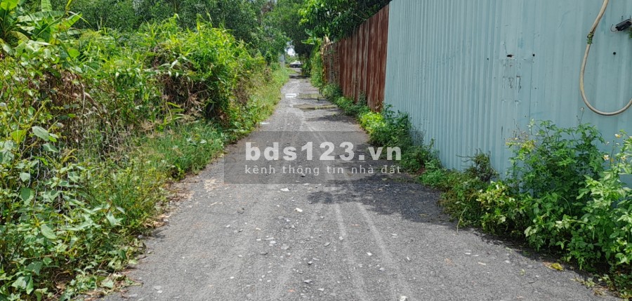 Bán đất đường ba điểm Tân nhật diện tích 900 mét vuông giá 7,5 tỷ thương lượng