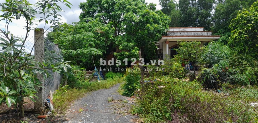 Bán đất đường ba điểm Tân nhật diện tích 900 mét vuông giá 7,5 tỷ thương lượng
