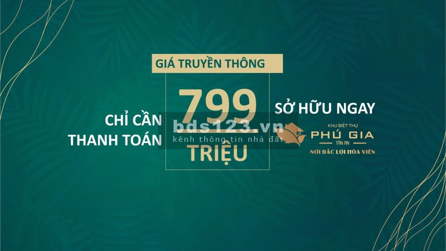 Bán gấp nhà phố Tân An QL1A ngay VINCOM - CO.OP MART liên hệ 0921875124
