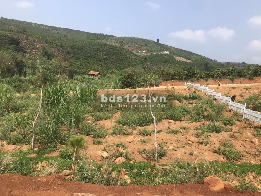 Cần Bán 1,1sao (1046m2),Bao 200m2 TC ở Nam Hà, vị trí đất đẹp giàu tiềm năng