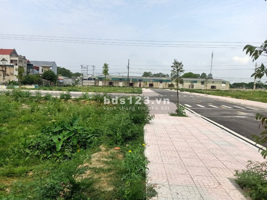 Chính Chủ Cần Bán Ngay Lô Thổ Cư Tại Thị Trấn Tân Phong Quảng Xương
