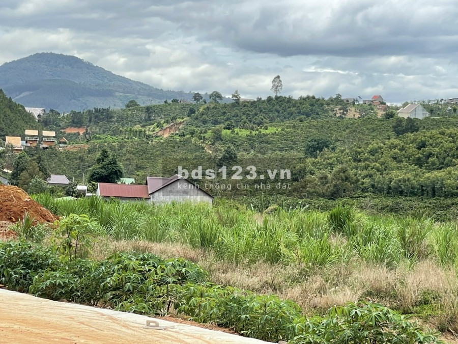 Cần Bán 1,1sao (1046m2),Bao 200m2 TC ở Nam Hà, vị trí đất đẹp giàu tiềm năng