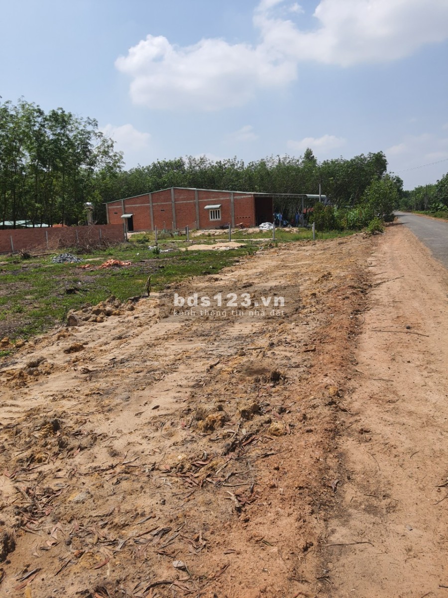 Chính chủ cần bán gấp đất thổ cư full sổ tại Bến Cầu, Tây Ninh