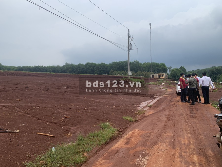 Bán đất nền dự án diện tích sử dụng 350m2 tại Bình Phước liên hệ 0332353545