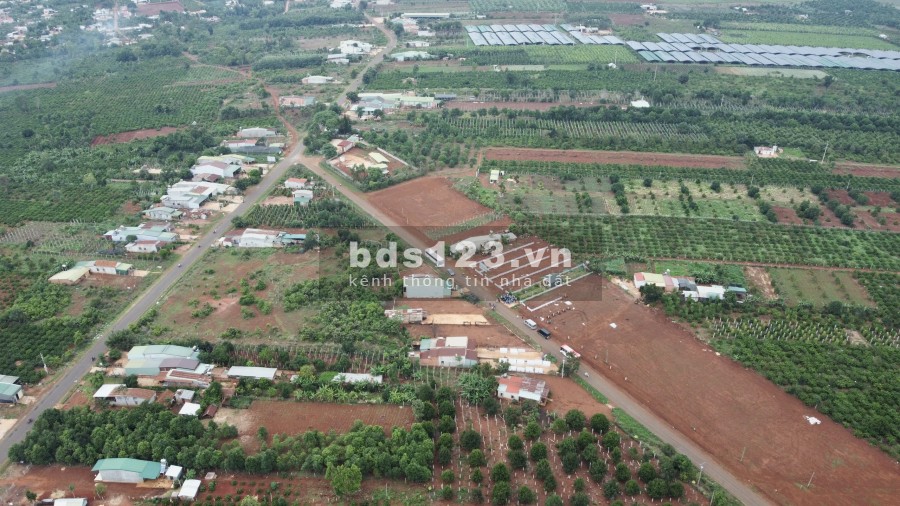 Đất nền 2 mặt tiền có sổ ven quốc lộ 19 Gia Lai giá tốt chỉ 5,2 triệu/m2 đầu tư sinh lời