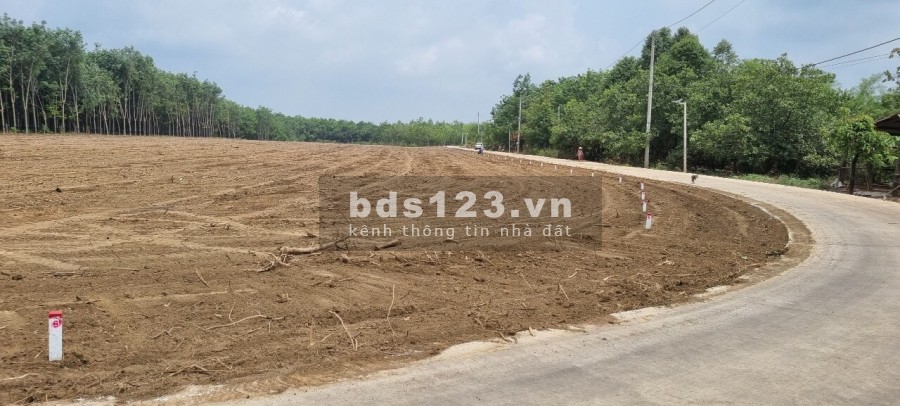 Bán đất nền Thổ cư sổ hồng riêng Bình Phước giá rẻ liên hệ xem đất 0934114656