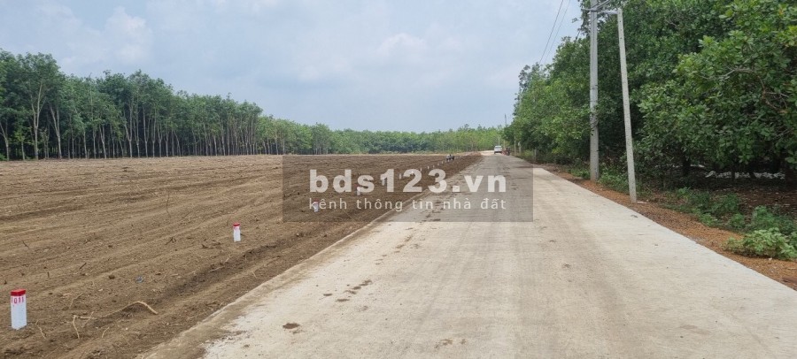 Bán đất nền Thổ cư sổ hồng riêng Bình Phước giá rẻ liên hệ xem đất 0934114656