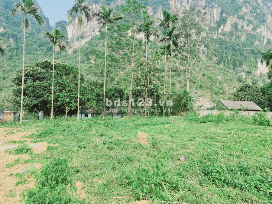 Những mảnh đất ở lương sơn chưa bao giờ hết HOT liên hệ 0966964606