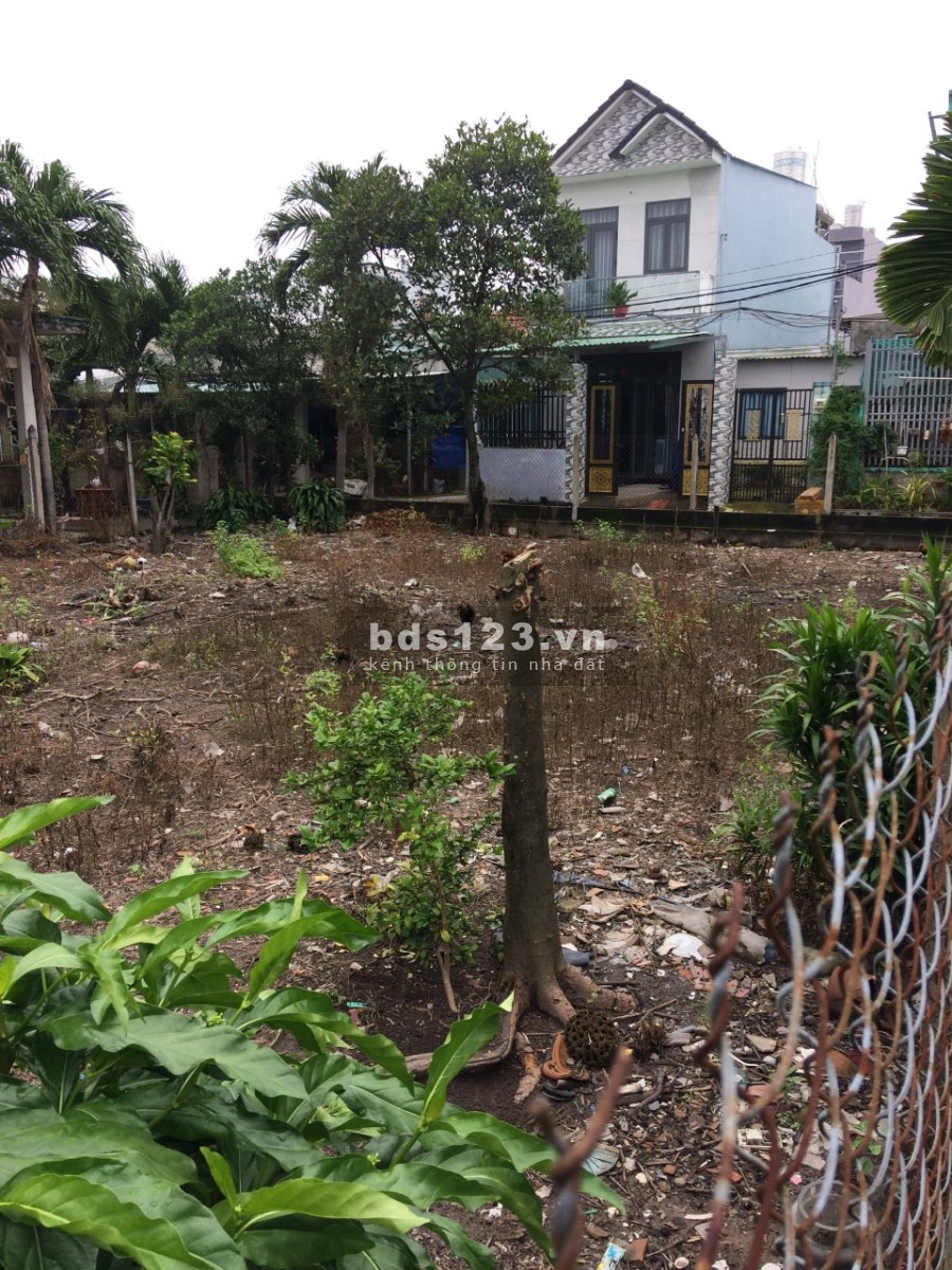 Bán đất chính chủ xã Bà Điểm, Hóc Môn làm việc trực tiếp chính chủ, liên hệ 0766317077