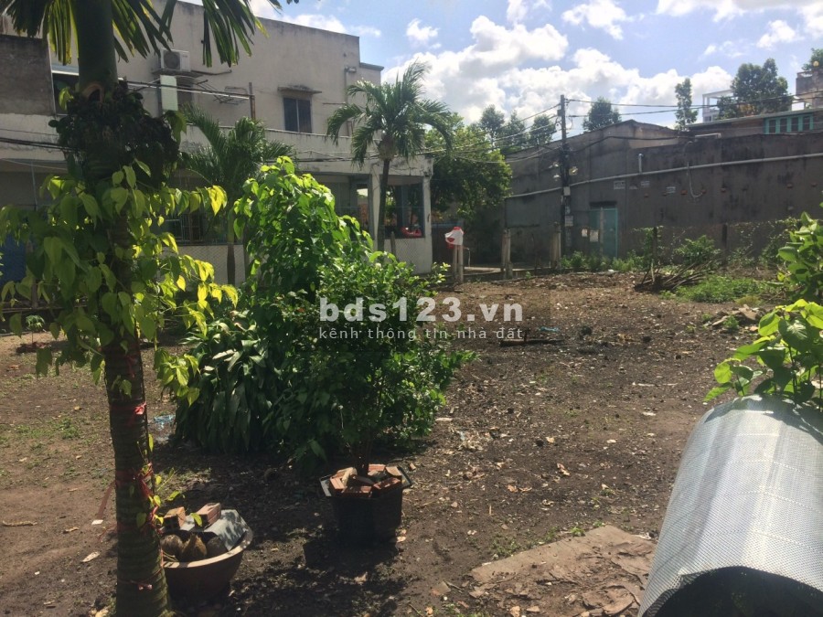 Bán đất chính chủ xã Bà Điểm, Hóc Môn làm việc trực tiếp chính chủ, liên hệ 0766317077
