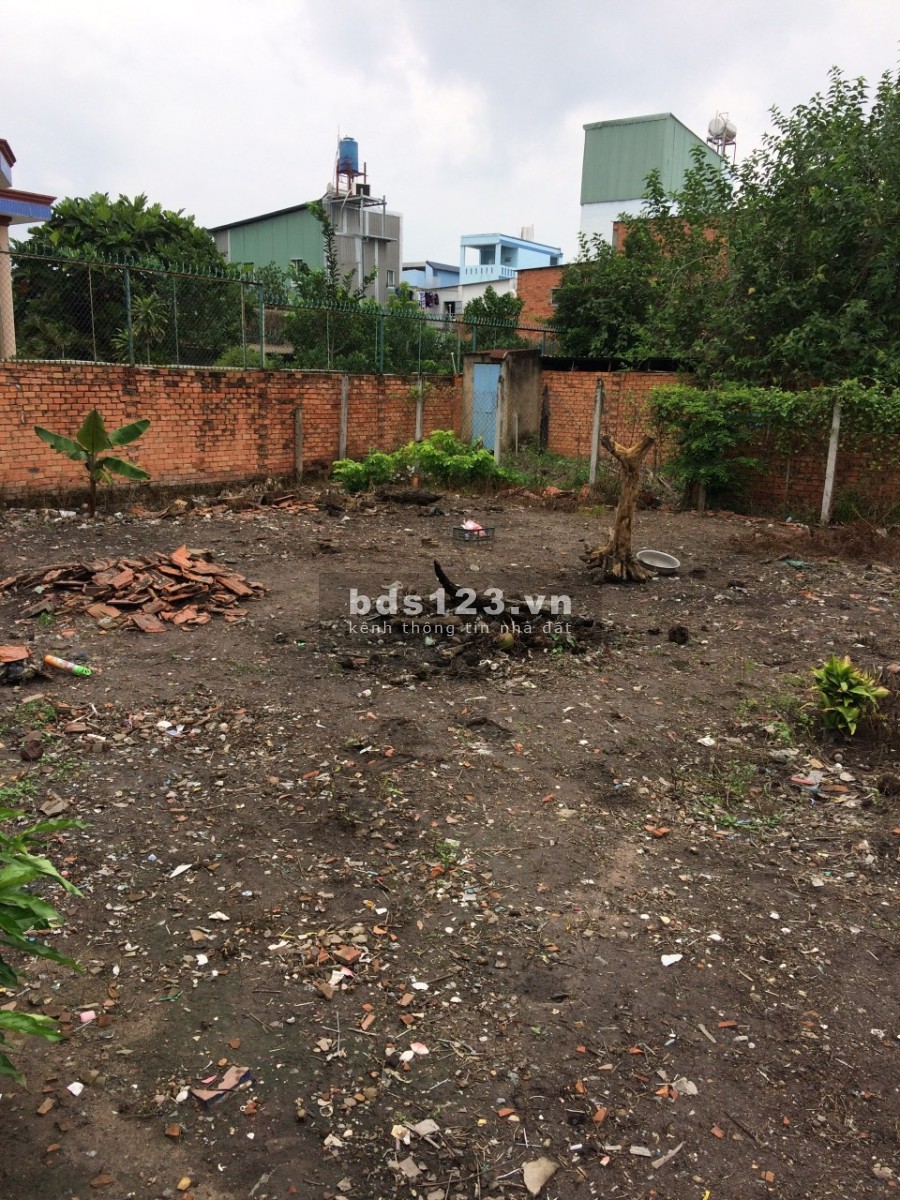 Bán đất chính chủ xã Bà Điểm, Hóc Môn làm việc trực tiếp chính chủ, liên hệ 0766317077