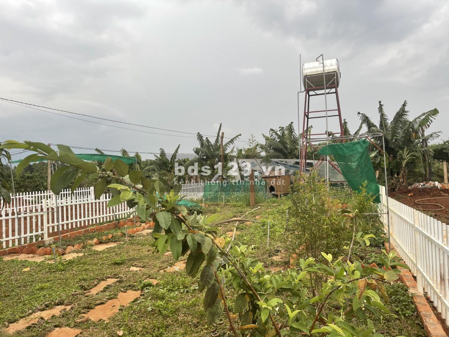 Đất nền biệt thự vườn siêu đẹp Mang Yang - Tây Nguyên bàn giao công chứng ngay