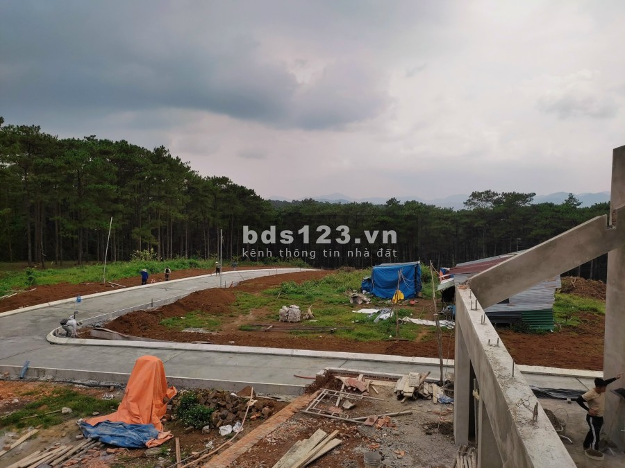 Đất Biệt Thự rừng thông thiên nhiên đầu tư giai đoạn 1 - Amavi Vlliage lh 0899787890