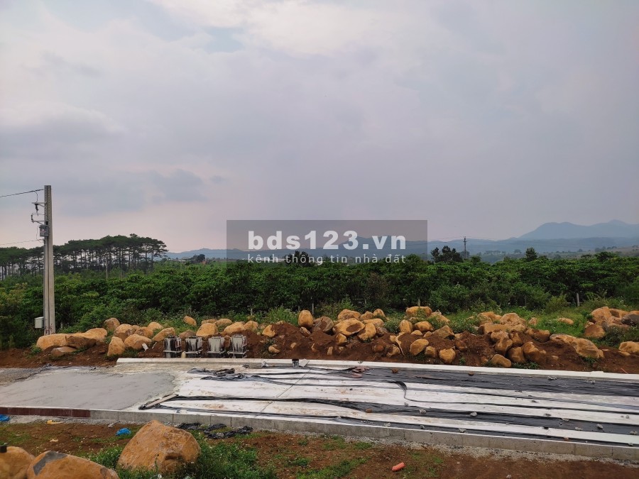 Đất Biệt Thự rừng thông thiên nhiên đầu tư giai đoạn 1 - Amavi Vlliage lh 0899787890