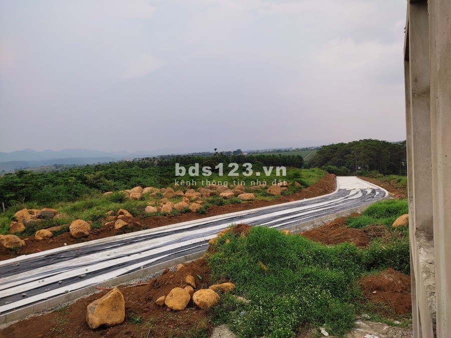 Đất Biệt Thự rừng thông thiên nhiên đầu tư giai đoạn 1 - Amavi Vlliage lh 0899787890