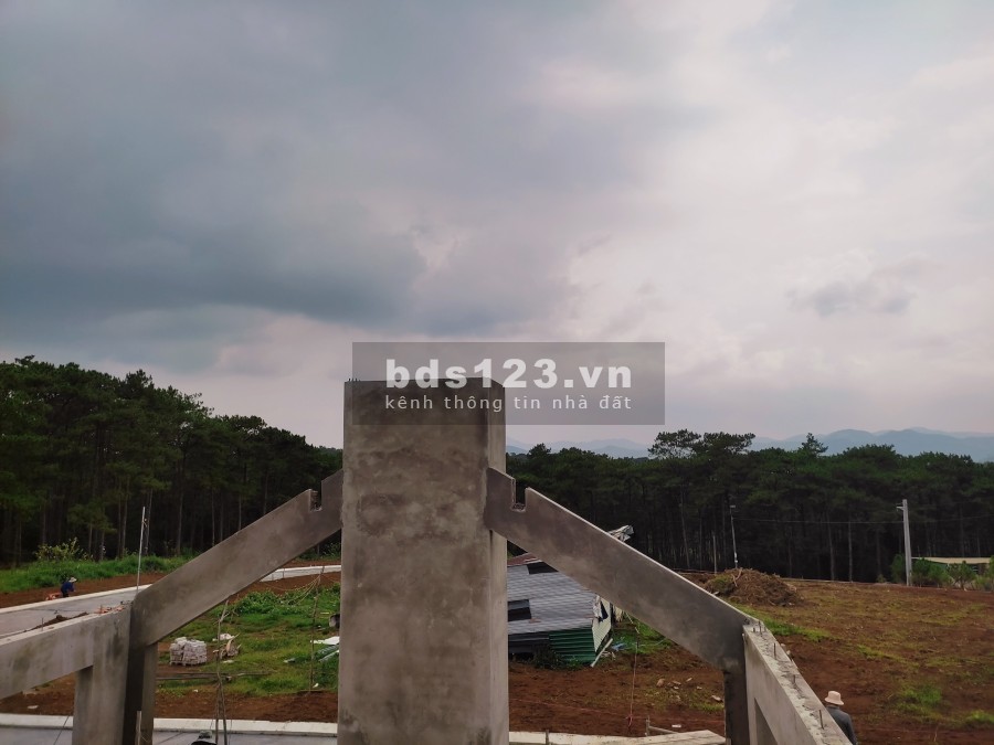 Đất Biệt Thự rừng thông thiên nhiên đầu tư giai đoạn 1 - Amavi Vlliage lh 0899787890