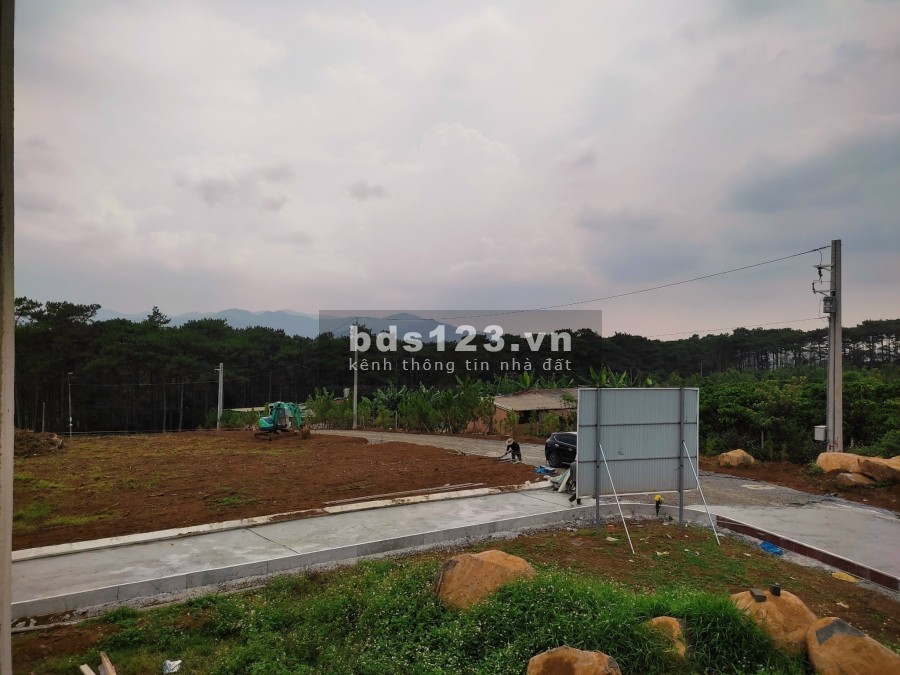 Đất Biệt Thự rừng thông thiên nhiên đầu tư giai đoạn 1 - Amavi Vlliage lh 0899787890