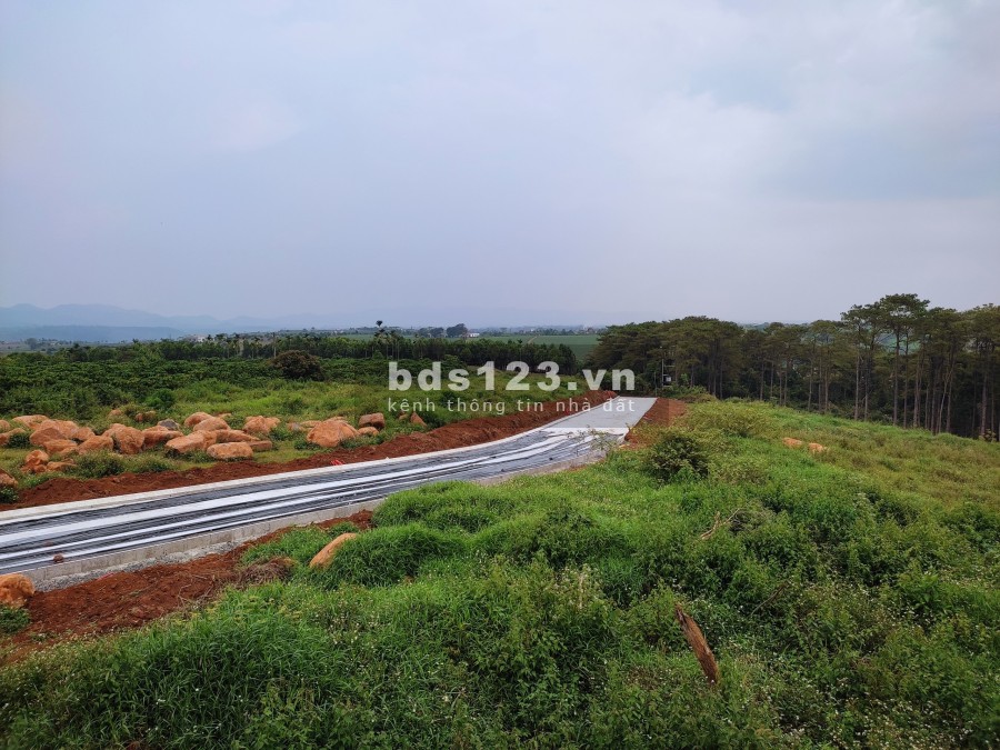 Đất Biệt Thự rừng thông thiên nhiên đầu tư giai đoạn 1 - Amavi Vlliage lh 0899787890