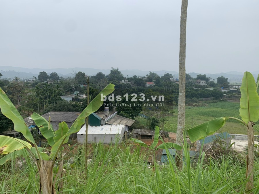 Bán đất Đông Lai Tân Lạc 870m có 400m ONT bám đường 45m, view cao thoáng, giá chỉ hơn 600k/m2