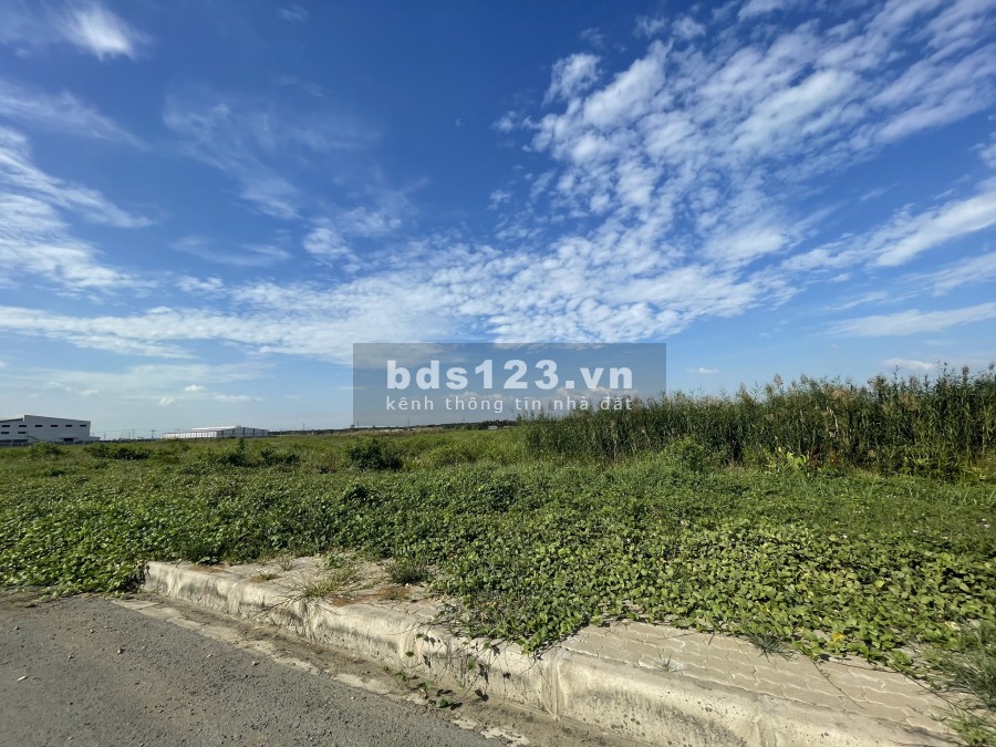 Bán đất, cho thuê đất 1ha- 1.4ha - 1.6ha - 4ha. khu công nghiệp khu vực Thủ Thừa Long An.