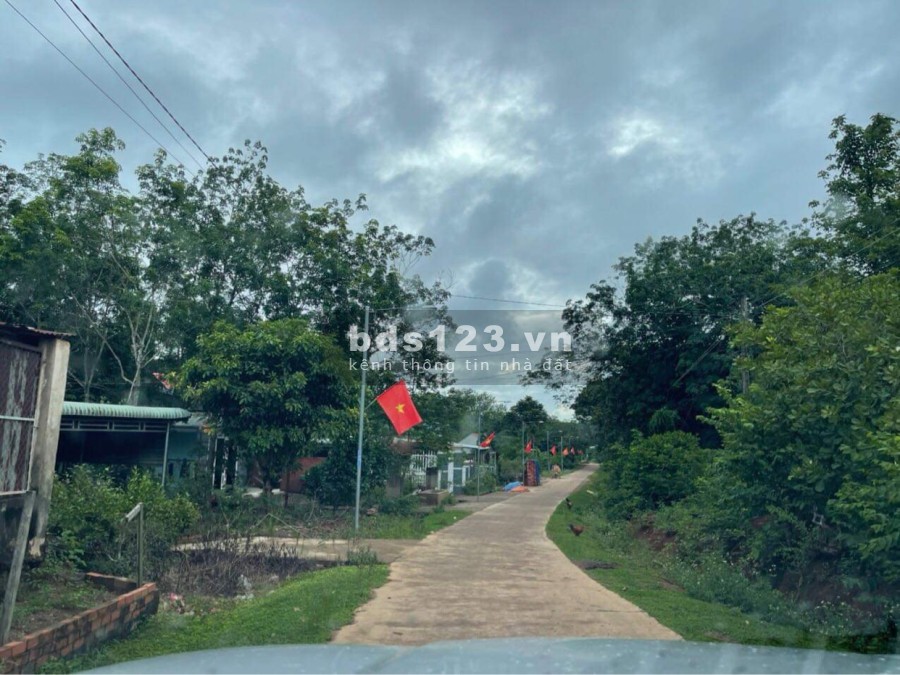 Đất Cây công nghiệp lâu nam tại Đồng Phú ngân hàng hỗ trợ vay, liên hệ 0961230429