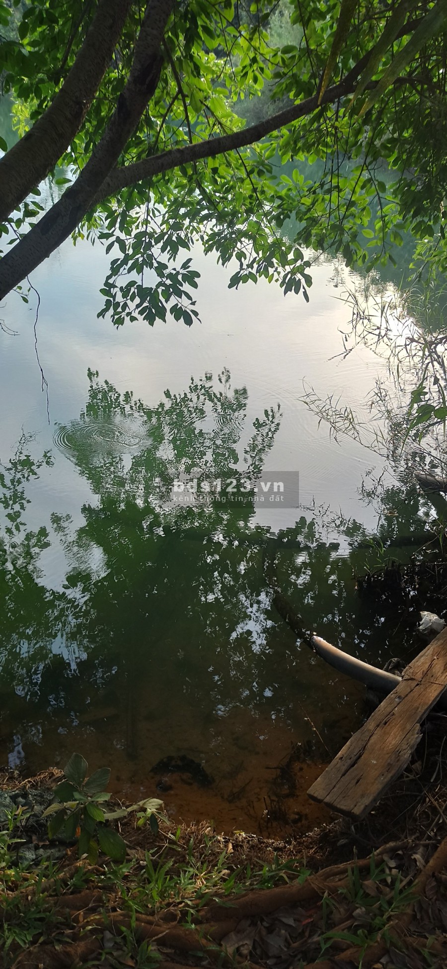Chủ nhà kẹt tiền cần bán gấp mảnh rẫy để xoay nợ gía mềm, pháp lý đủ, có thương lượng