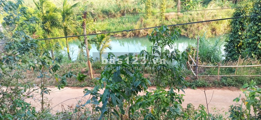 Chủ nhà kẹt tiền cần bán gấp mảnh rẫy để xoay nợ gía mềm, pháp lý đủ, có thương lượng