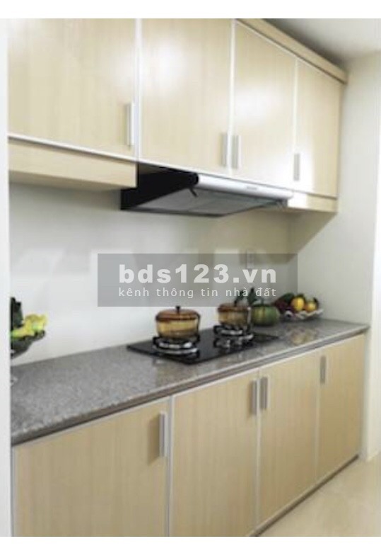 Tôi cần cho thuê căn hộ chung cư Ngọc Phương Nam, 277 Âu Dương Lân Phường 2 Quận 8, TP HCM