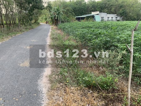 Đất ôm chủ nợ cần tìm nhà đầu tư 450m giá bán chỉ 450 triệu liên hệ 0359666238