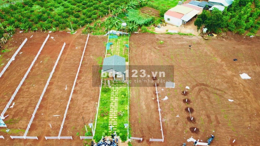 Sở hữu ngay đất nền biệt thự Mang Yang - Gia Lai giá chỉ từ 1 tỷ 399/ nền.