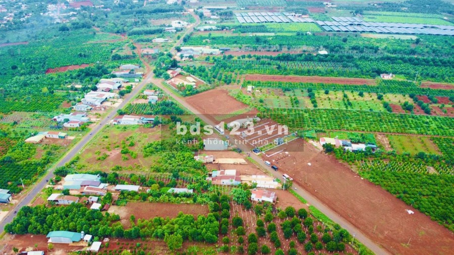 Sở hữu ngay đất nền biệt thự Mang Yang - Gia Lai giá chỉ từ 1 tỷ 399/ nền.