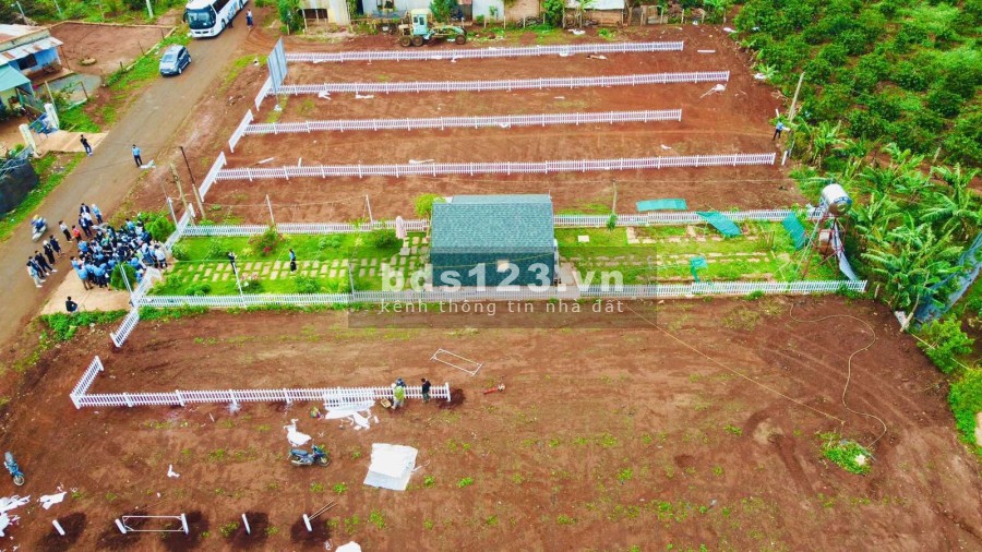 Chỉ với 1,399 tỷ sở hữu ngay 300m2 đất nền full thổ cư - Sổ đỏ lâu dài tại Gia Lai