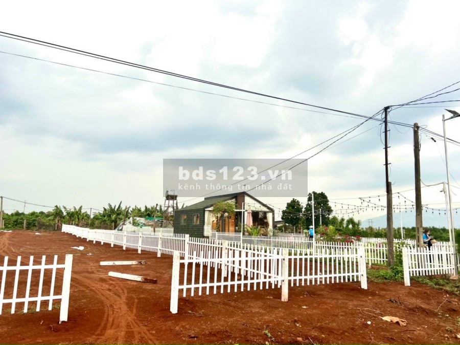 Chỉ với 1,399 tỷ sở hữu ngay 300m2 đất nền full thổ cư - Sổ đỏ lâu dài tại Gia Lai