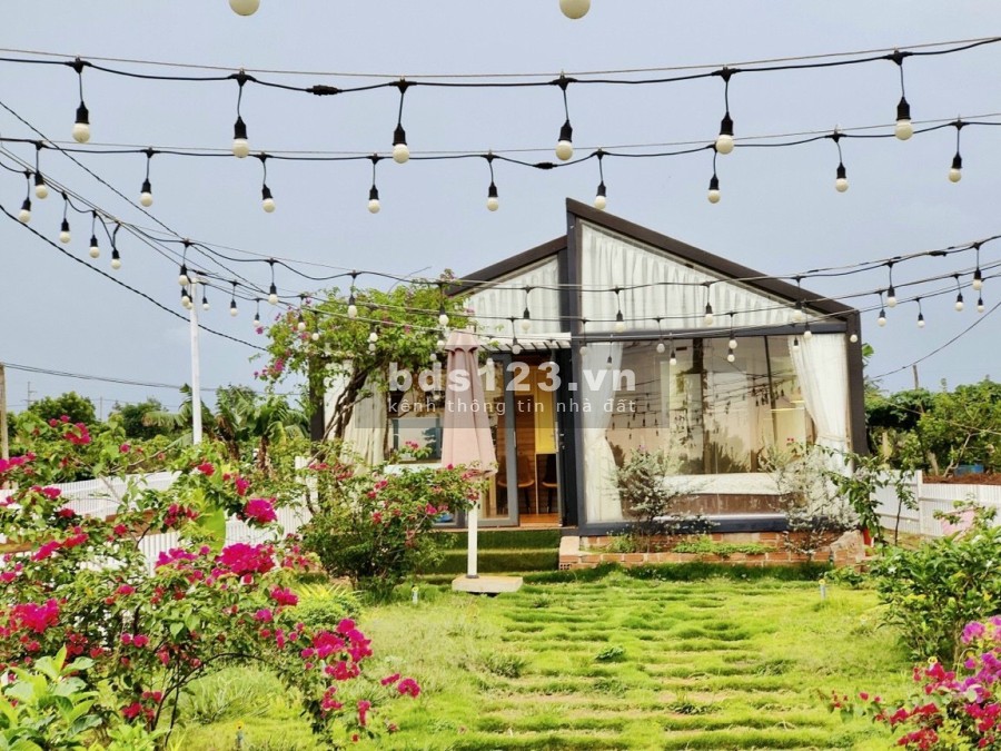 Chỉ với 1,399 tỷ sở hữu ngay 300m2 đất nền full thổ cư - Sổ đỏ lâu dài tại Gia Lai