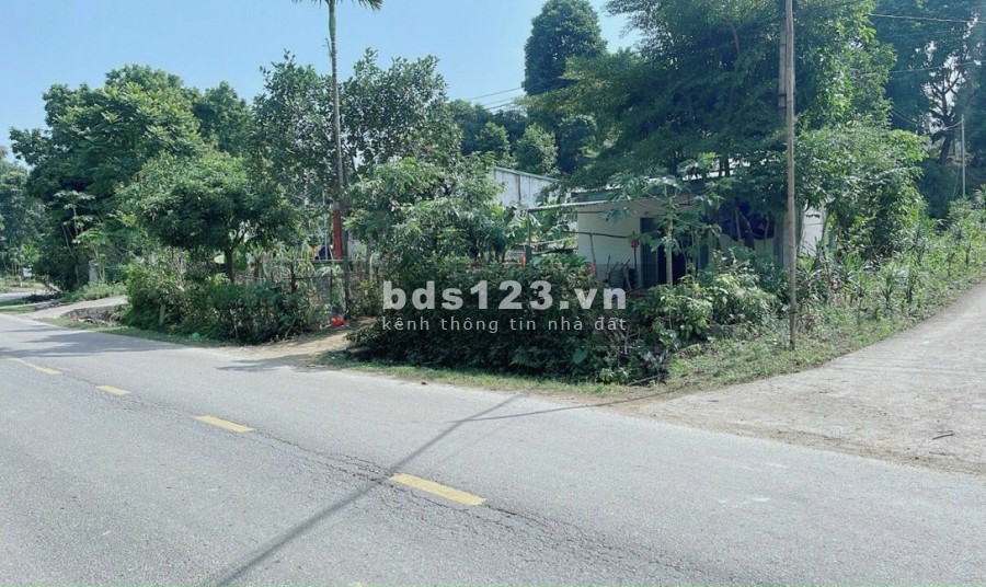 Bán đất view núi tặng nhà và vườn cây ăn trái tại Kim Bôi, Hoà Bình, sổ chính chủ