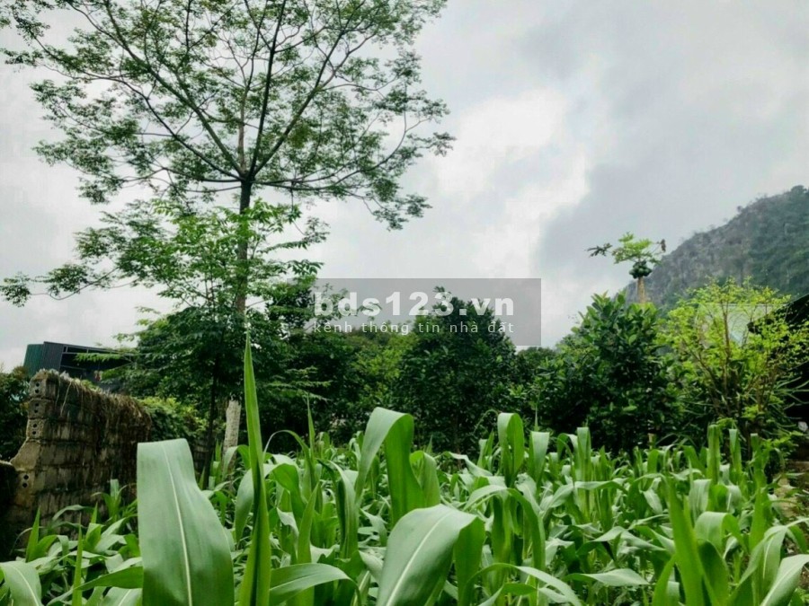 Bán đất view núi tặng nhà và vườn cây ăn trái tại Kim Bôi, Hoà Bình, sổ chính chủ