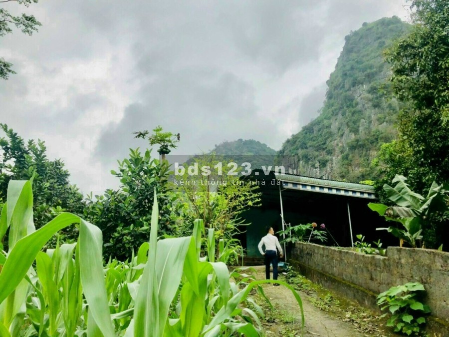 Bán đất view núi tặng nhà và vườn cây ăn trái tại Kim Bôi, Hoà Bình, sổ chính chủ