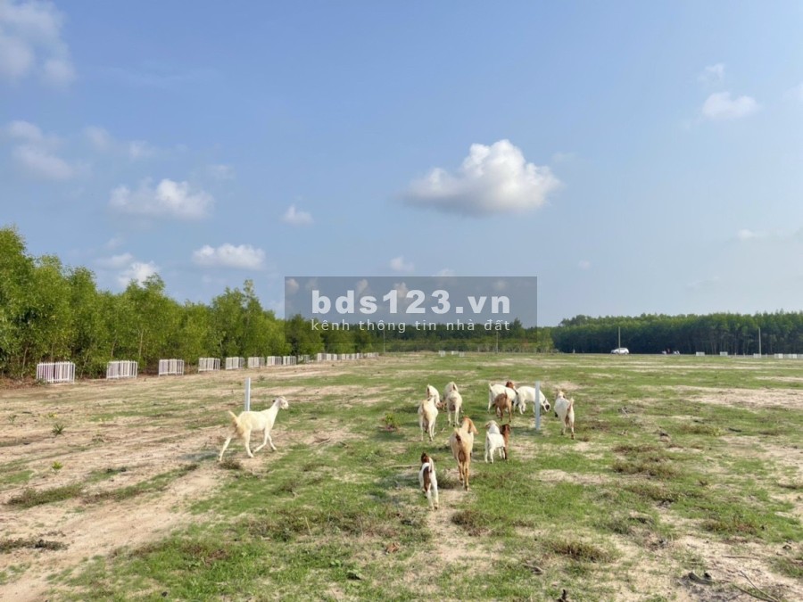 Bán lô đất mt đường nhựa ngay sân bay Đất Đỏ, Bà Rịa Vũng Tàu, sổ hồng riêng chính chủ