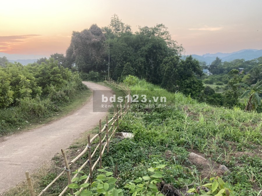 Siêu phẩm đẹp giá rẻ tại Thanh Hối, Tân Lạc, Hoà Bình, vị trí đắc địa, gần cụm khu công nghiệp