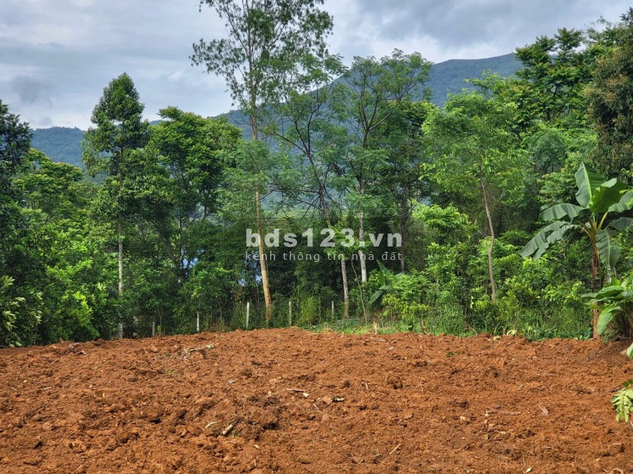 Bán đất trung tâm xã Hợp Phong Cao Phong Hoà Bình, giá đầu tư sinh lời, sổ sẵn