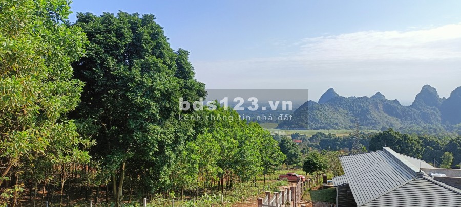 Cần bán nhanh diện tích 3322m đất Lương Sơn Hoà Bình, có 300m thổ cư giá tốt đầu tư
