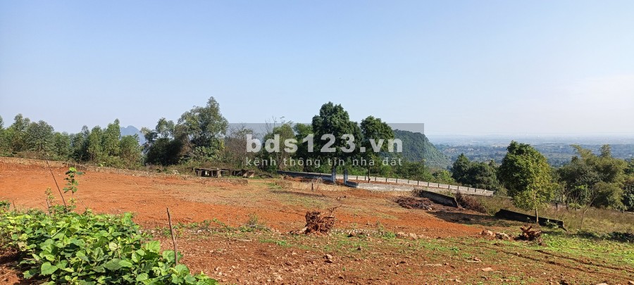 Cần bán nhanh diện tích 3322m đất Lương Sơn Hoà Bình, có 300m thổ cư giá tốt đầu tư