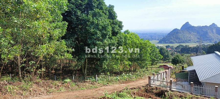 Cần bán nhanh diện tích 3322m đất Lương Sơn Hoà Bình, có 300m thổ cư giá tốt đầu tư