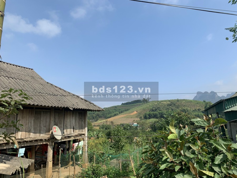 Chính chủ gửi bán 1400m đất Mỹ Hoà Tân Lạc Hoà Bình có 200m thổ cư giá tốt đầu tư sinh lời
