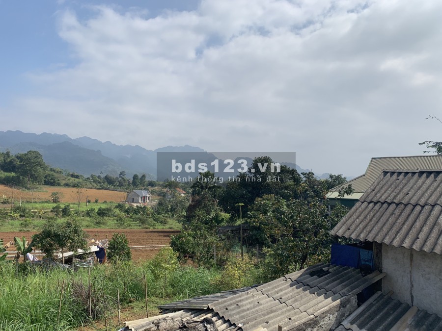 Chính chủ gửi bán 1400m đất Mỹ Hoà Tân Lạc Hoà Bình có 200m thổ cư giá tốt đầu tư sinh lời