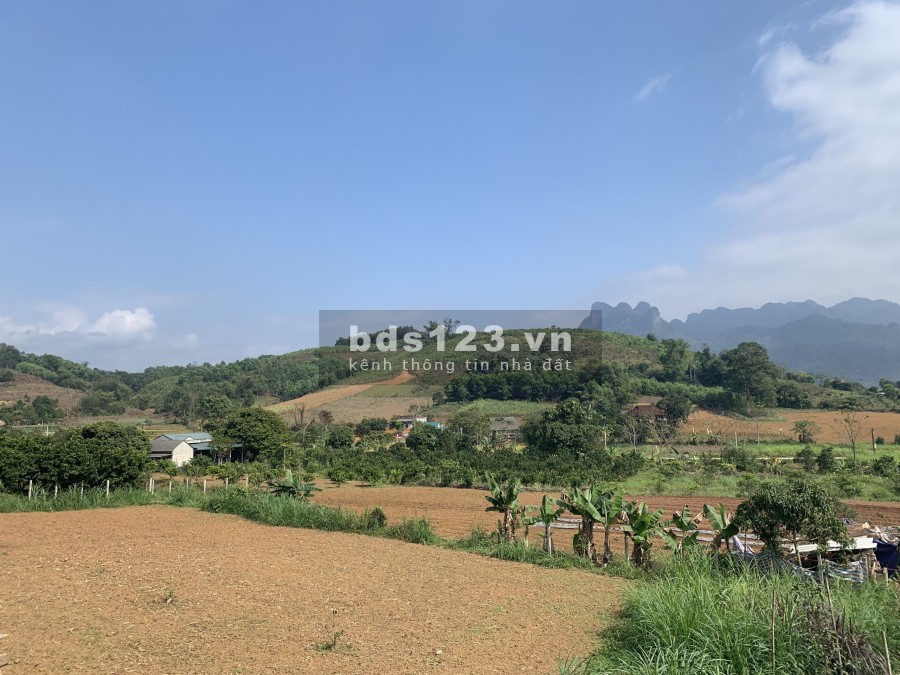 Chính chủ gửi bán 1400m đất Mỹ Hoà Tân Lạc Hoà Bình có 200m thổ cư giá tốt đầu tư sinh lời