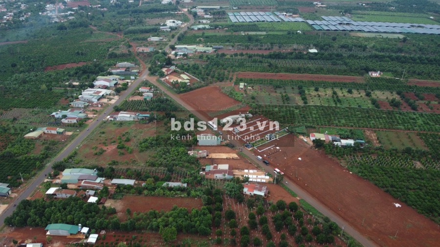 Bán Đất nền sổ đỏ để đầu tư, xây Homestay quốc lộ 19 Gia Lai giá 1,399 tỷ