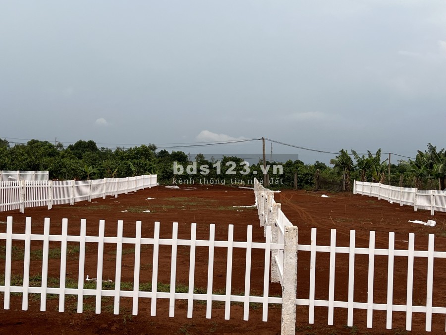 Bán Đất nền sổ đỏ để đầu tư, xây Homestay quốc lộ 19 Gia Lai giá 1,399 tỷ