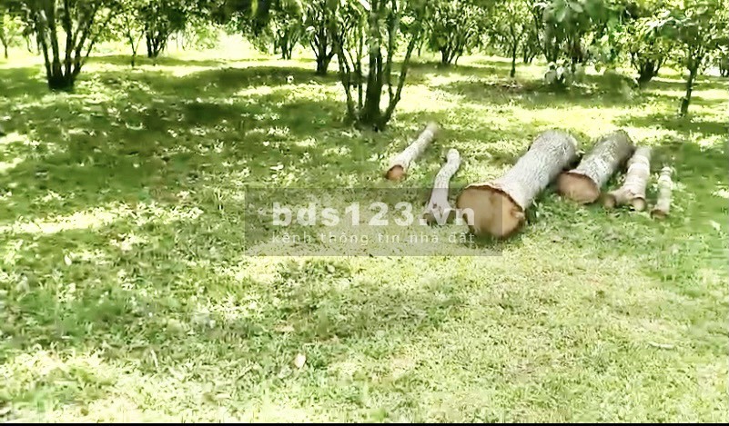 Siêu phẩm Sông Bôi đường chạy quanh đất, tay chạm nước bám sông 100m2, giá chỉ 950 nghìn/m2